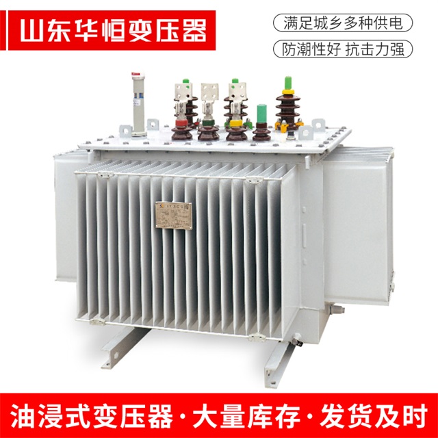 S13-10000/35白河白河白河电力变压器